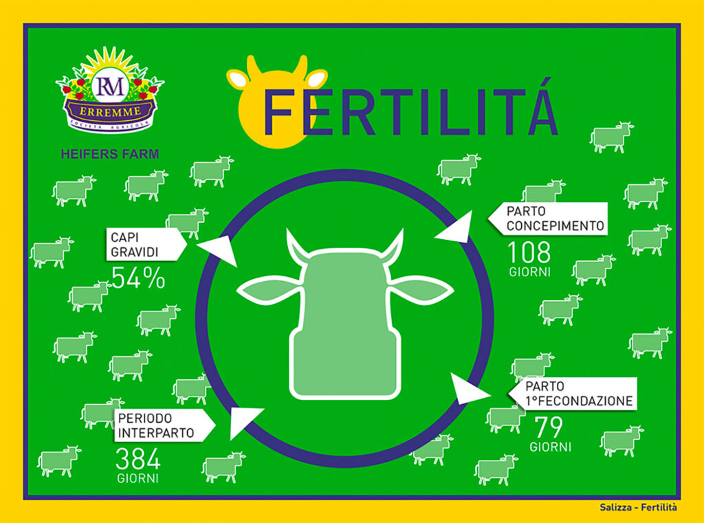 Salizza - Fertilità